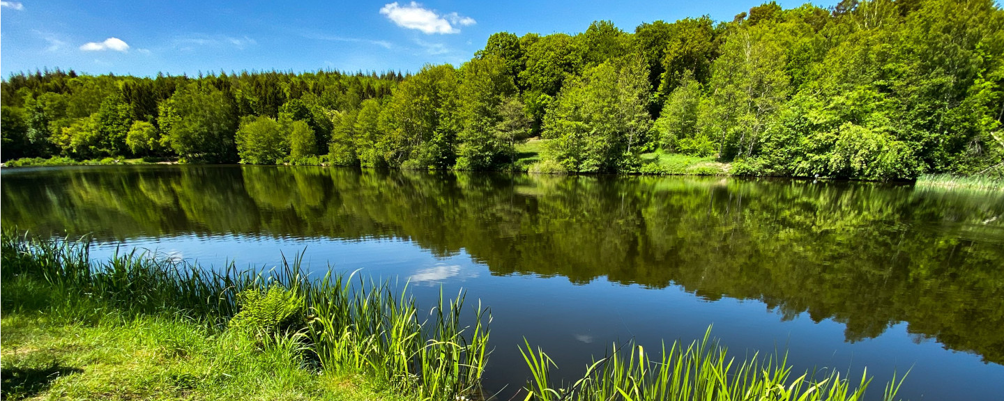 Blick auf den Glashütter Weiher in St. Ingbert Rohrbach