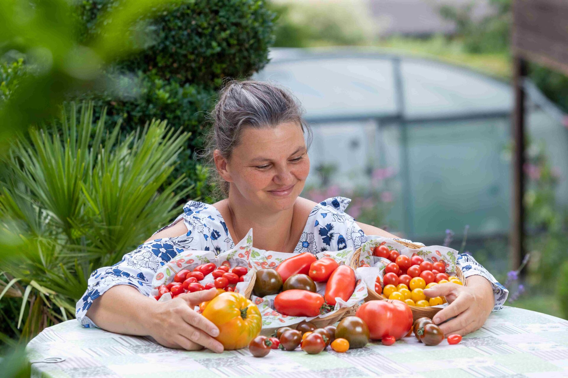 Katrin Goedtel (43) züchtet ALTE TOMATENSORTEN