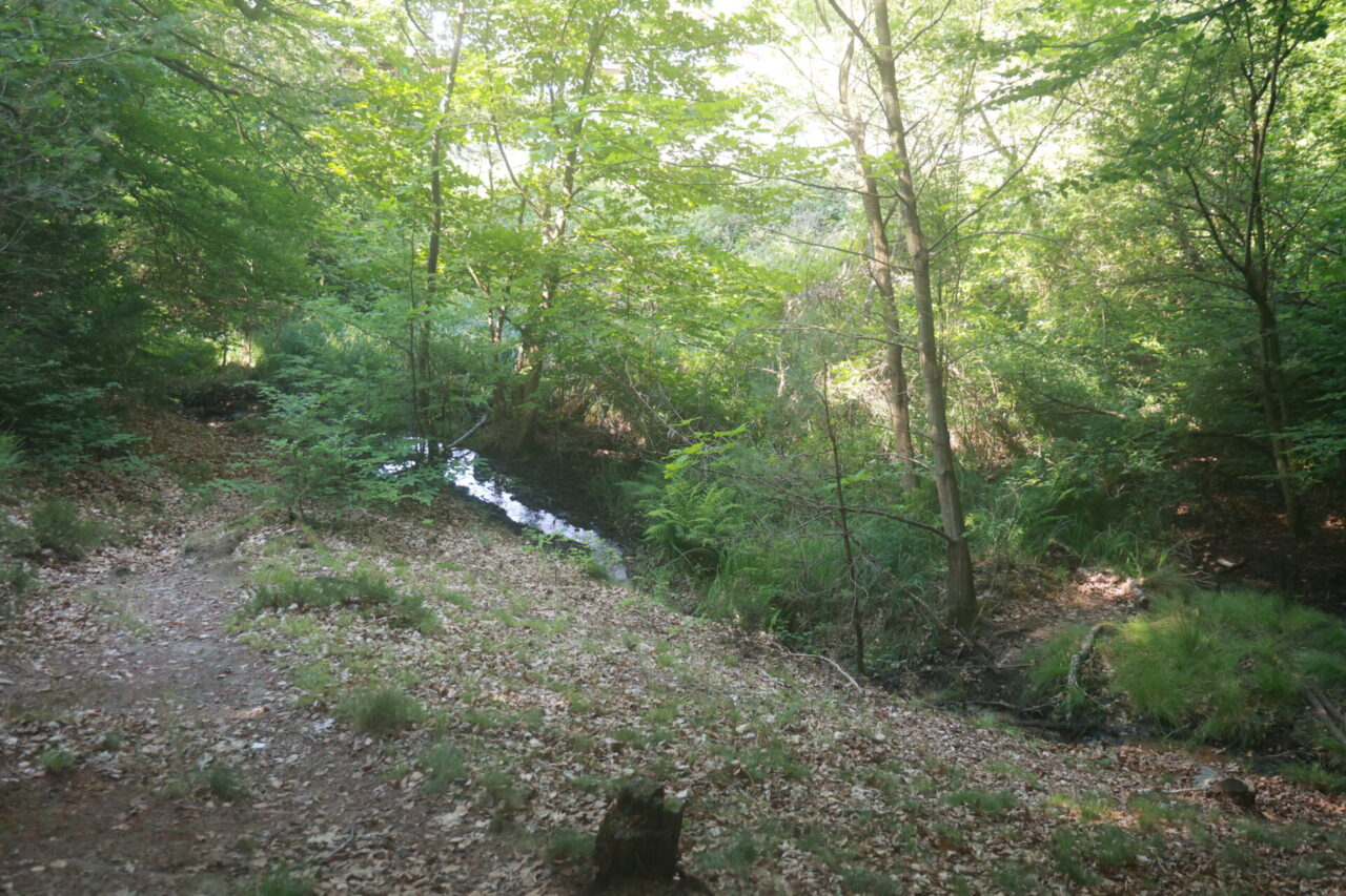 Mäusebach