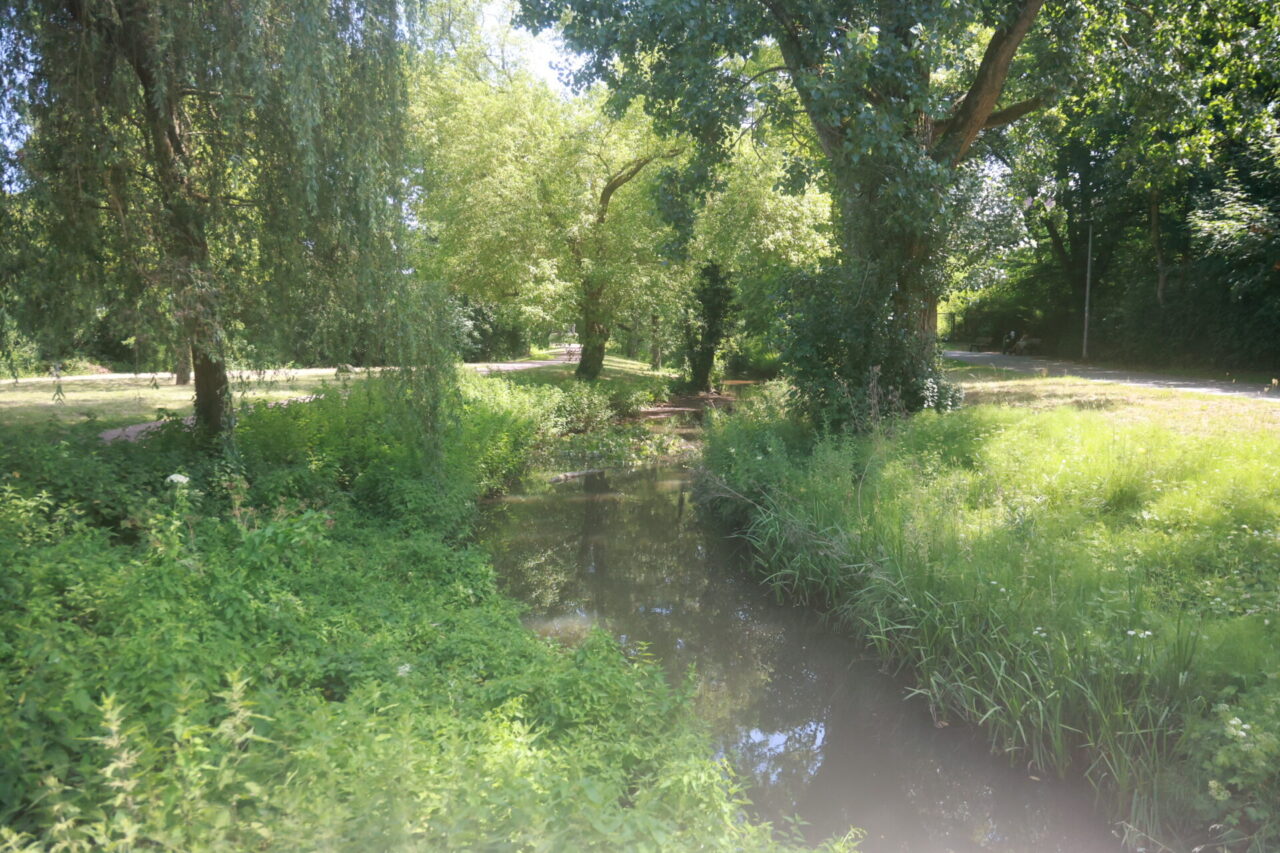Rohrbach